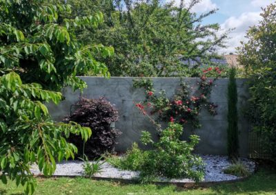 Les plantes se développent bien.