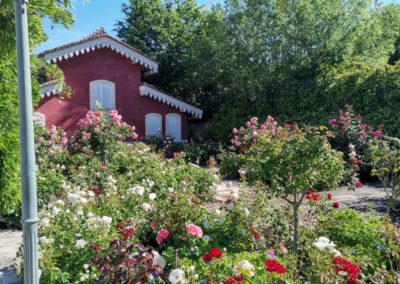 La roseraie aux multitudes de fleurs.