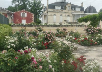 La roseraie.