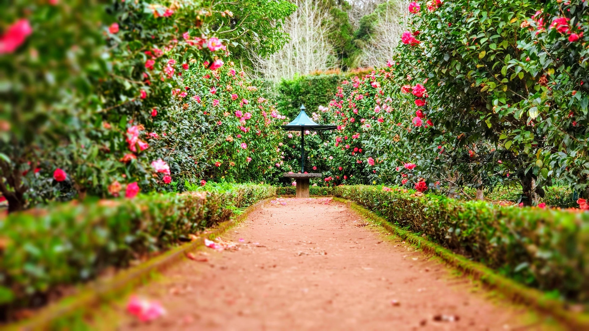 jardin paysagiste chateaux en France