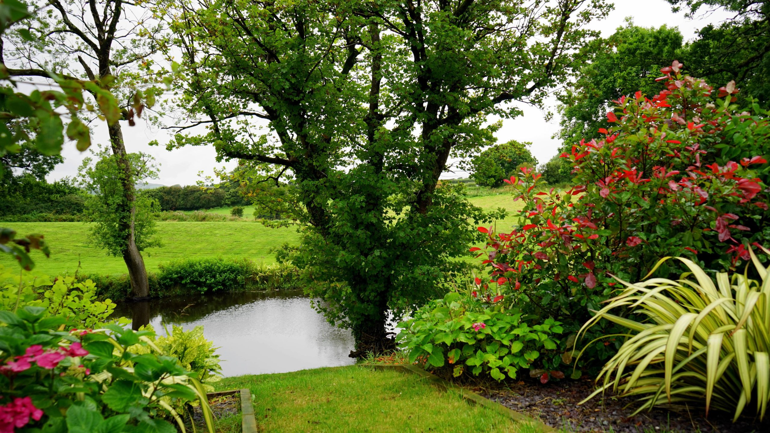 jardin écologique extérieur