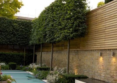 haie de jardin bordure piscine