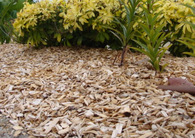 Paillage en copeaux de bois type mulch