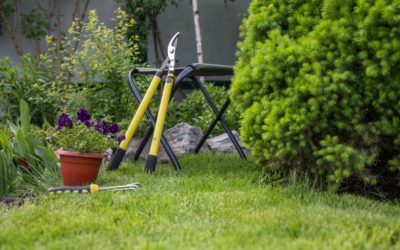 Entretien jardin, quels sont les dispositifs légaux et les aides financières en 2022