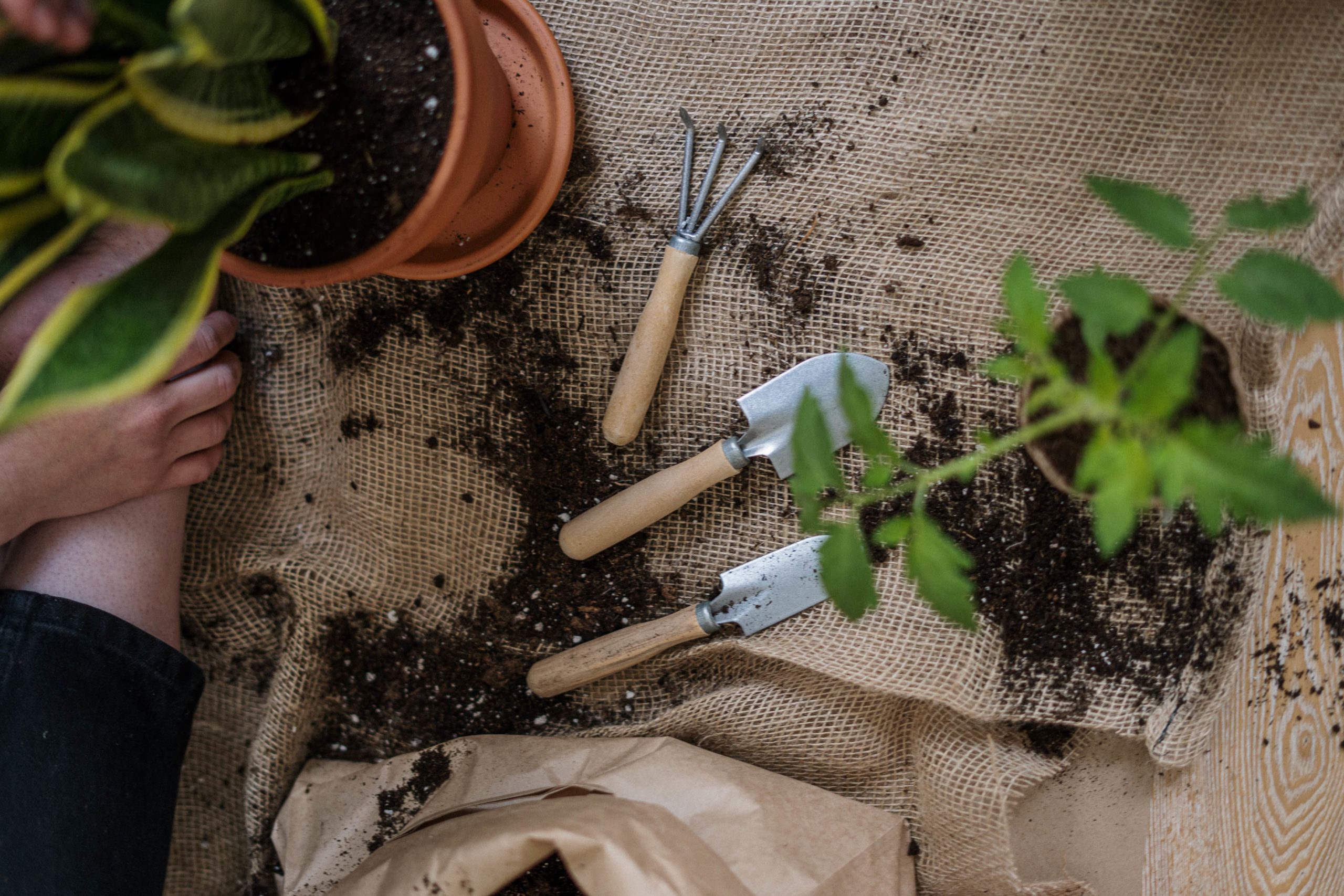 jardinier paysagiste ou classique