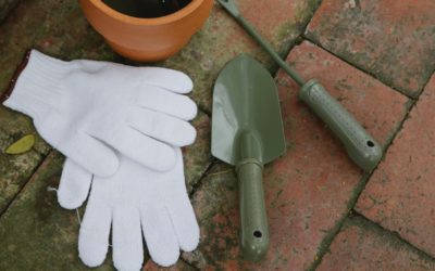 Jardinier paysagiste ou jardinier classique, quelles différences ?