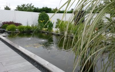 Bassin – fontaine : comment choisir sa pièce d’eau au jardin?