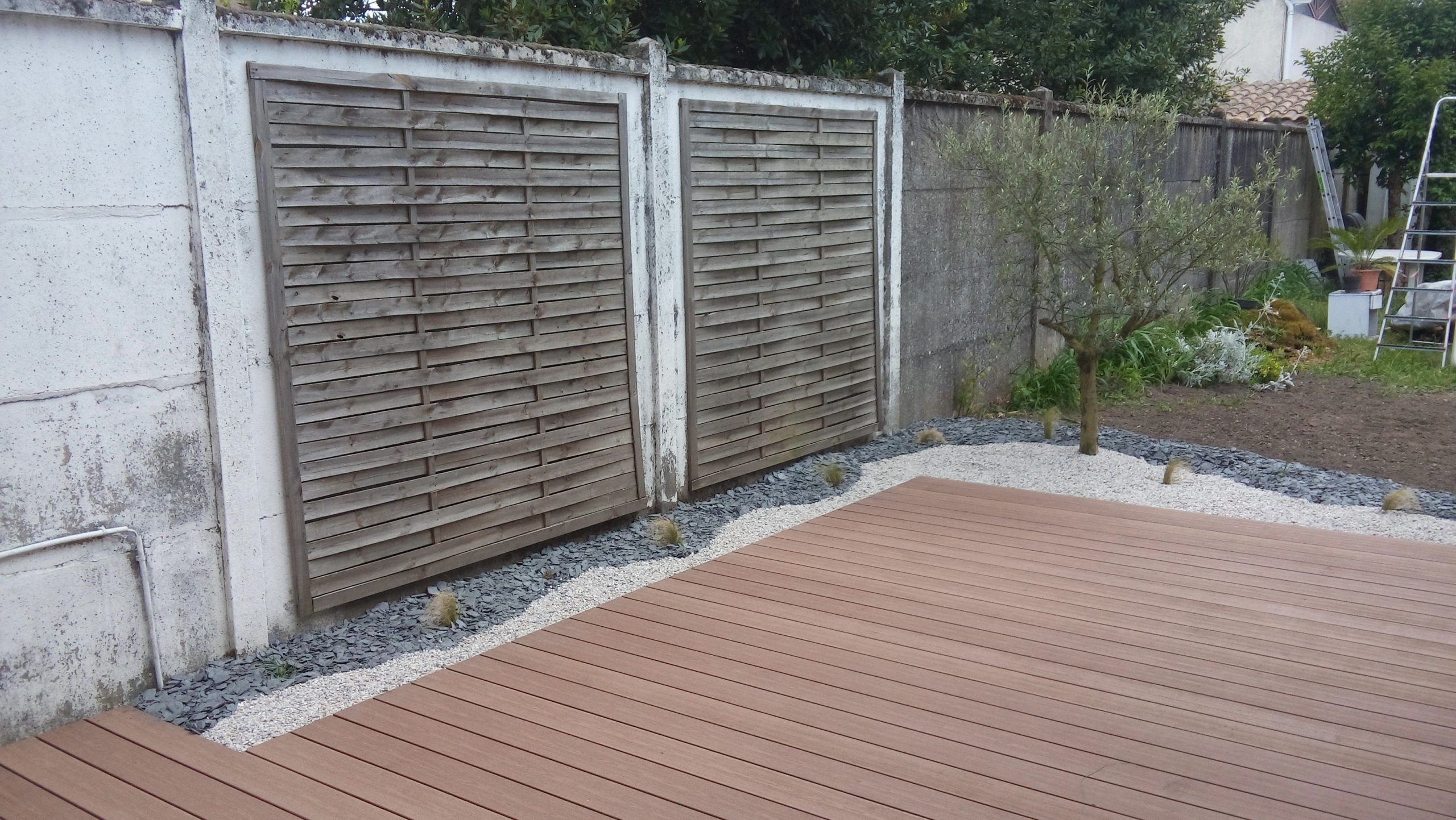 Composite dans un petit jardin de ville