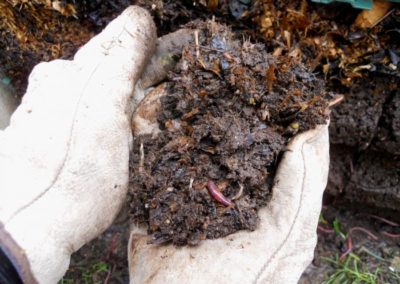 Amendement humique : le compost