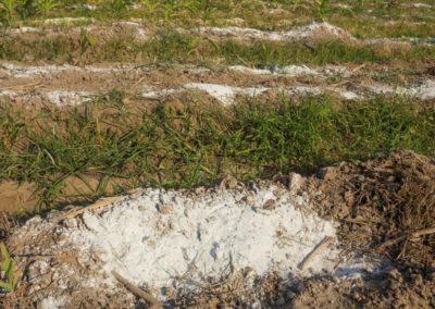 Chaux pour les sols acides