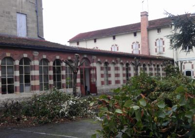 Abattage de tilleuls après Abattage de tilleuls après