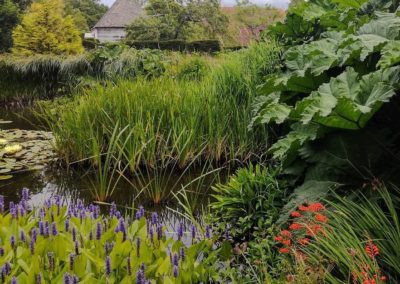Bassin de jardin anglais