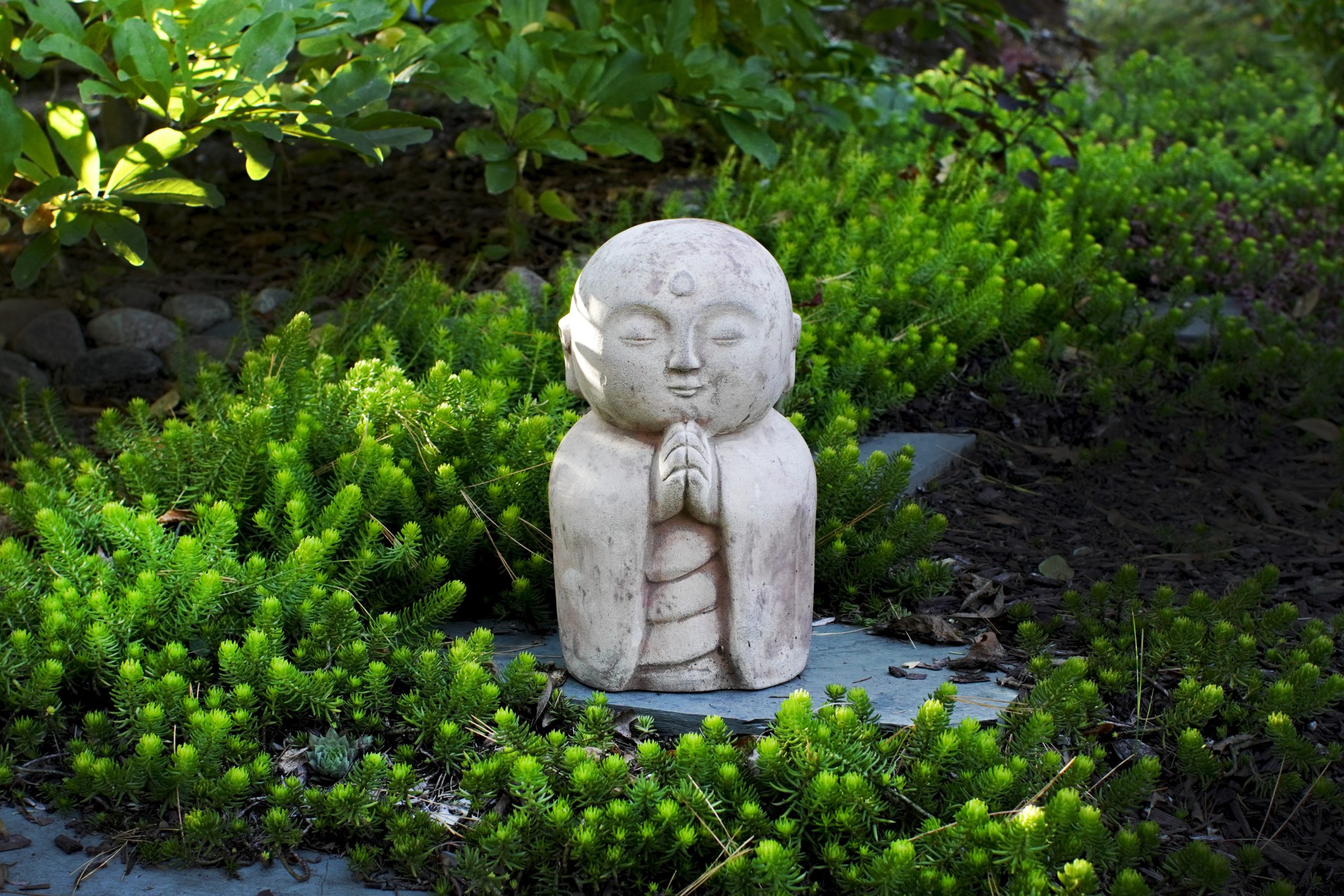Jardin bouddha