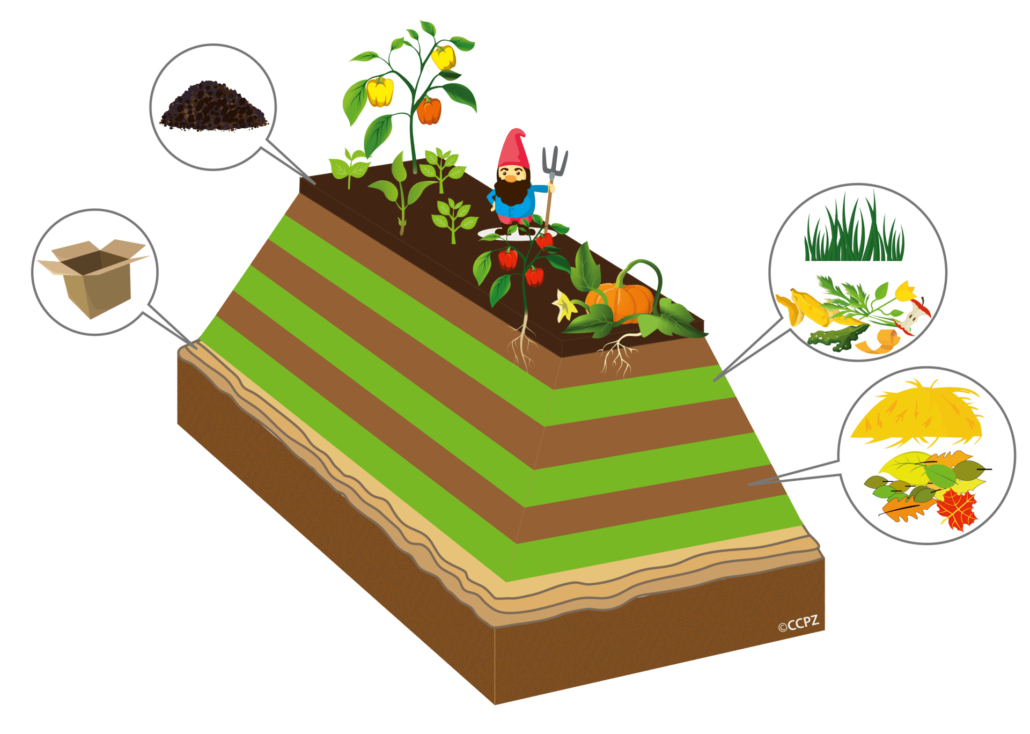 jardin potager en lasagne