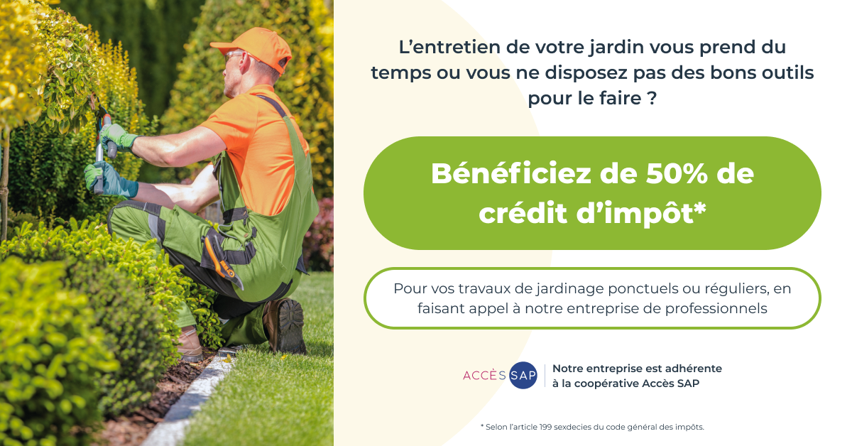 Bannière web ACCES-SAP