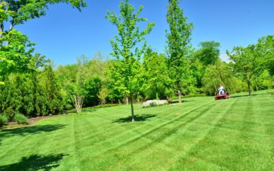 Crédit impôt entretien jardin Bordeaux : comment en profiter ?
