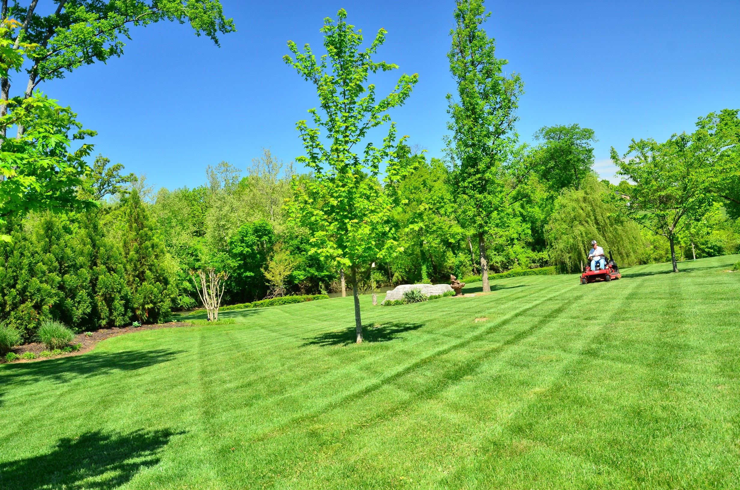 crédit impôt entretien jardin pelouse tondue