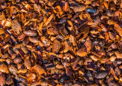 Écorces de cacao