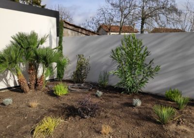 Plantation des palmiers et végétaux du 3ème massif