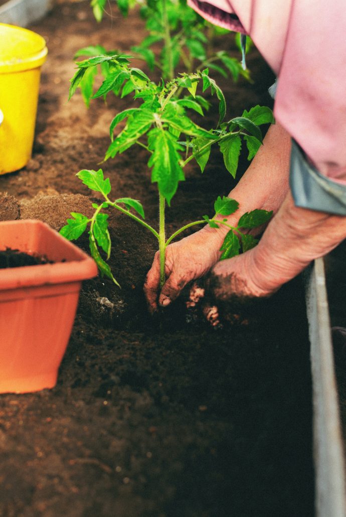 faire du compost à la maison