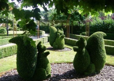 Arbuste buis artistique