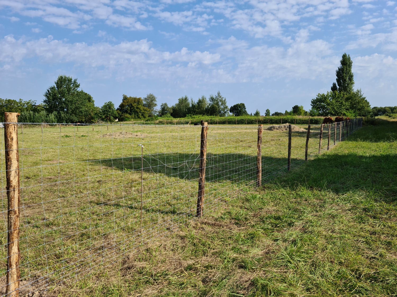 Clôture agricole réalisation