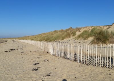 Protection Ganivelle littoral