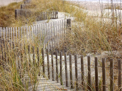 Ganivelle sur la plage Ganivelle sur la plage