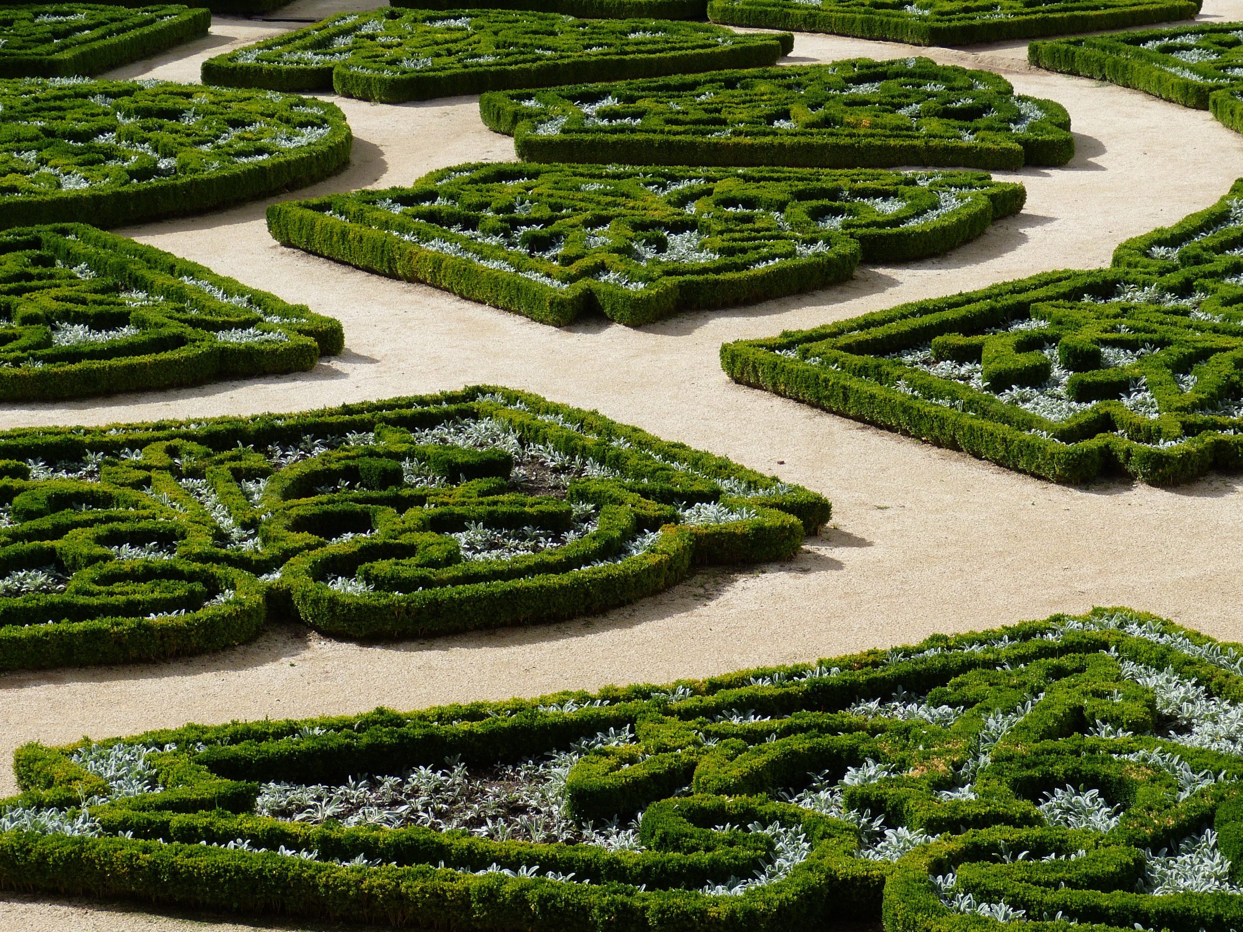 Jardin à la Française
