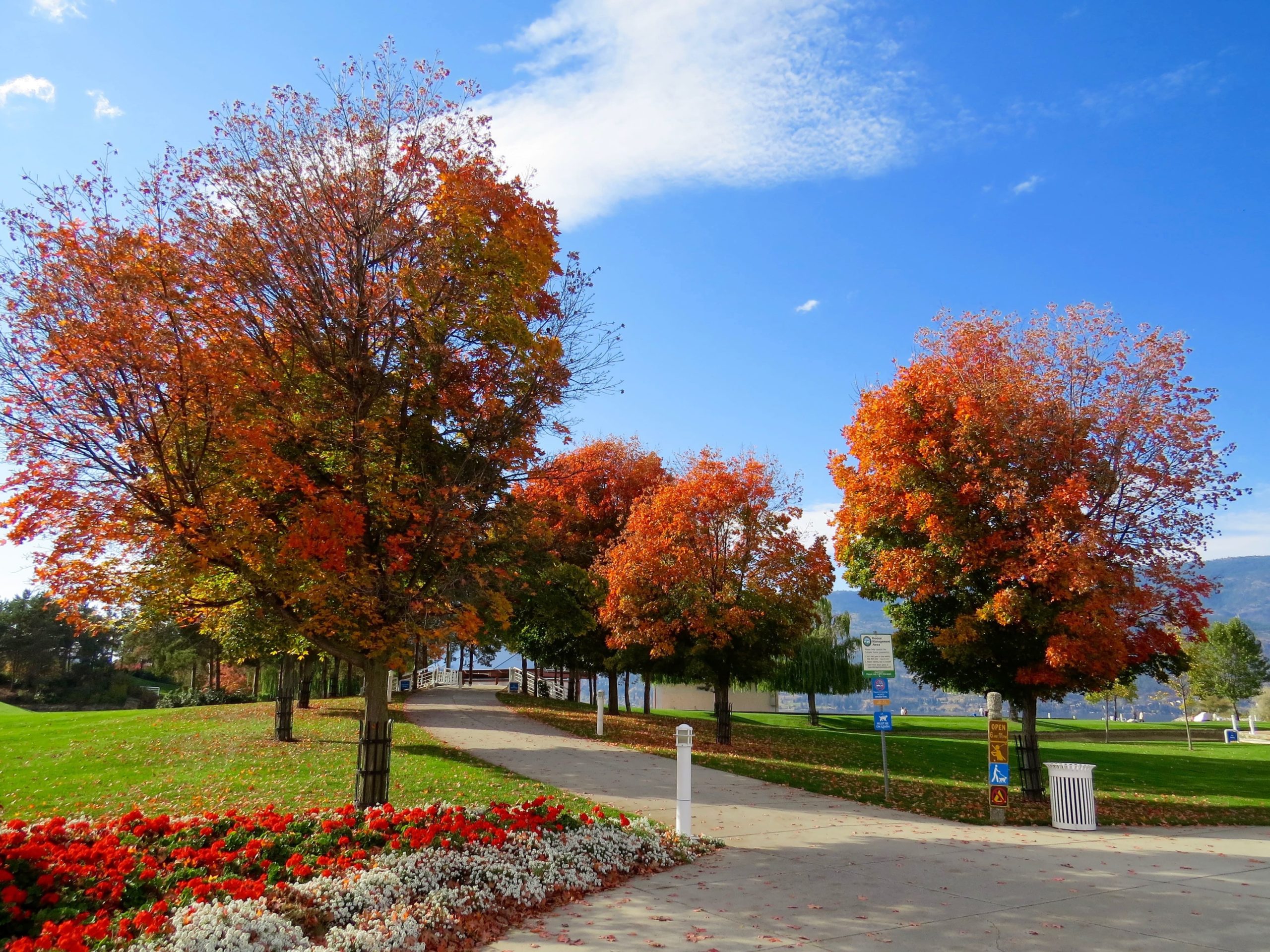 jardin d'automne bien l'entretenir
