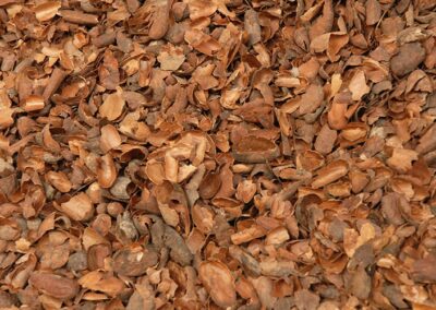 Ecorces de cacao