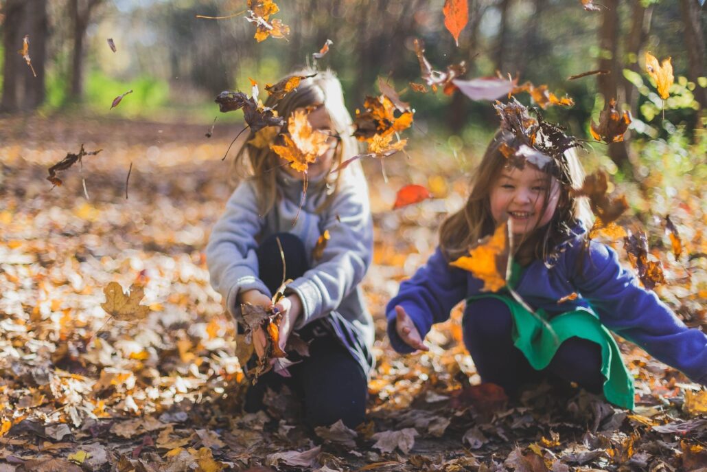 feuilles mortes quelle utilité ?