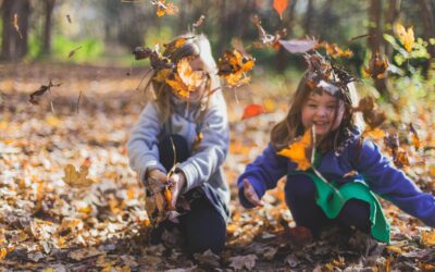 Feuilles mortes, comment les utiliser dans votre jardin ?
