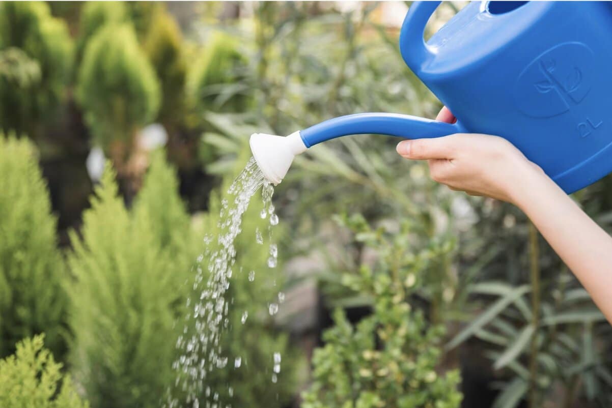 Consommation d'eau