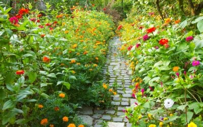 Concevoir un jardin Bio à Bordeaux