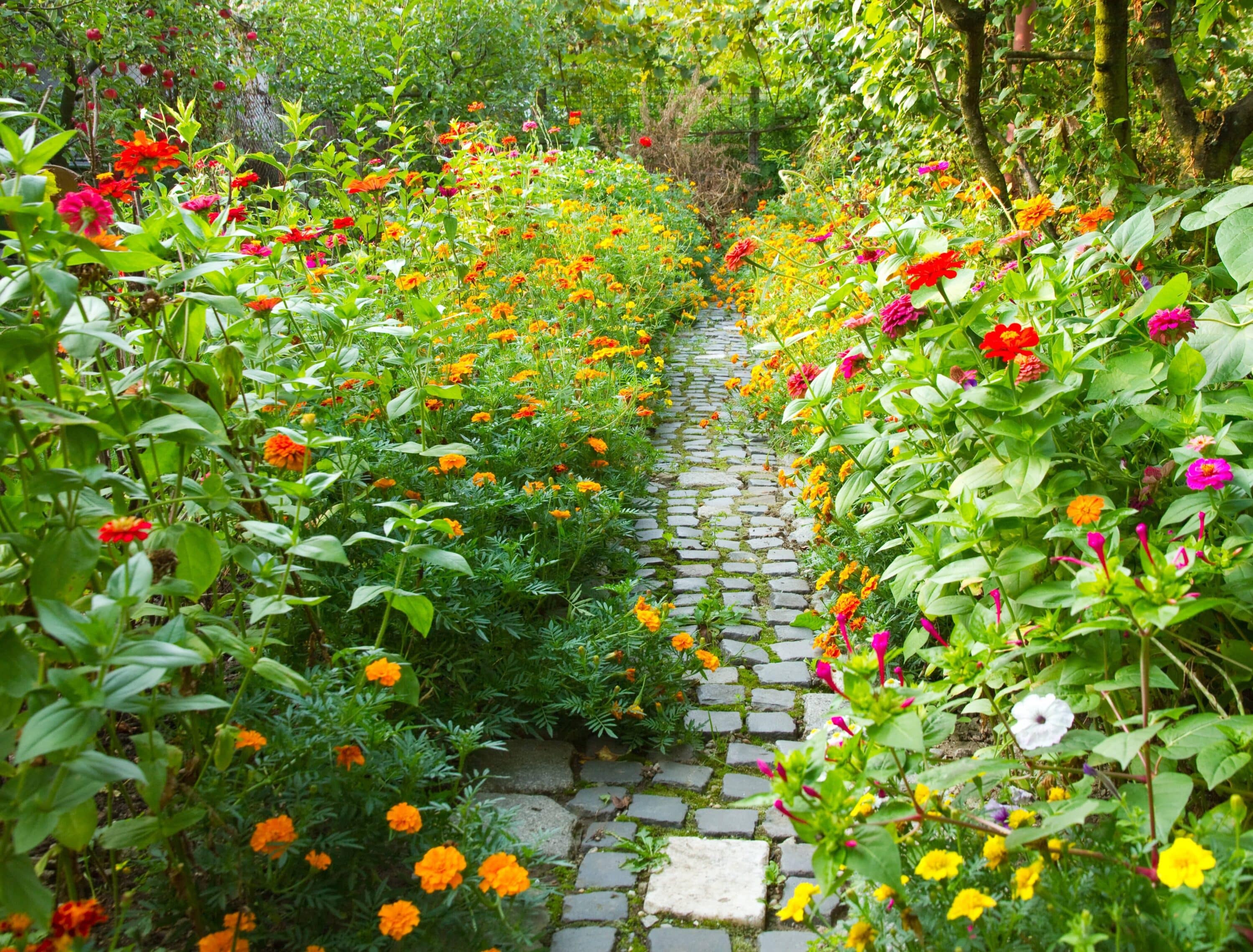 Jardin biologique
