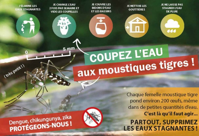 eaux stagnantes moustiques