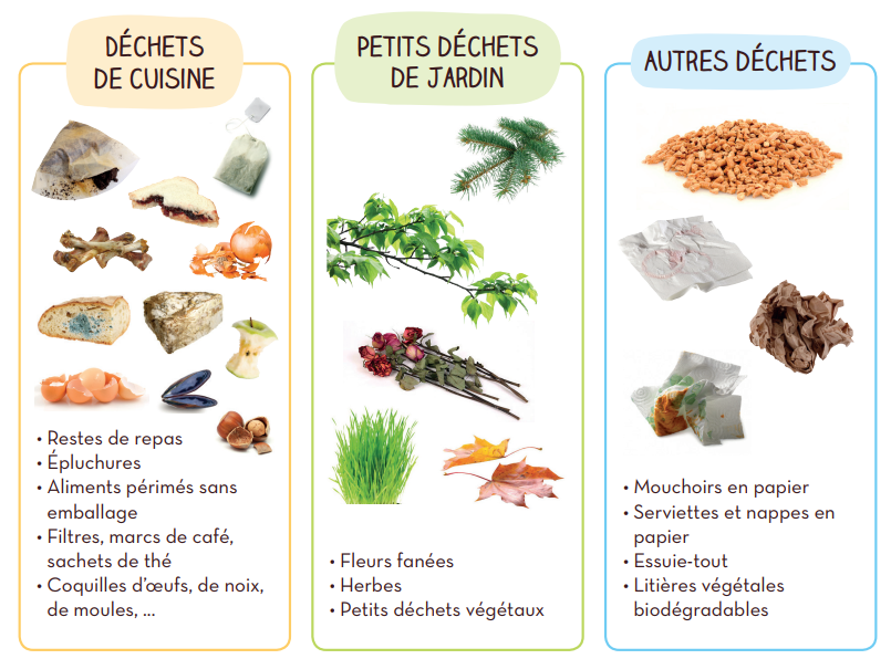 bio déchets