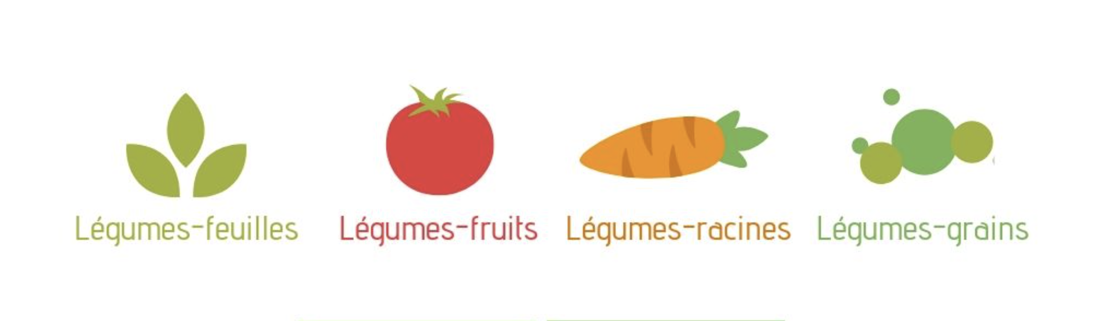 familles de légumes rotation des cultures