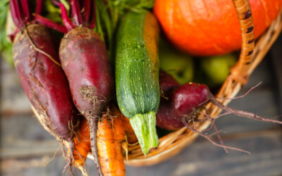 Potager d’automne : la fin d’été ne marque pas la fin de votre potager !