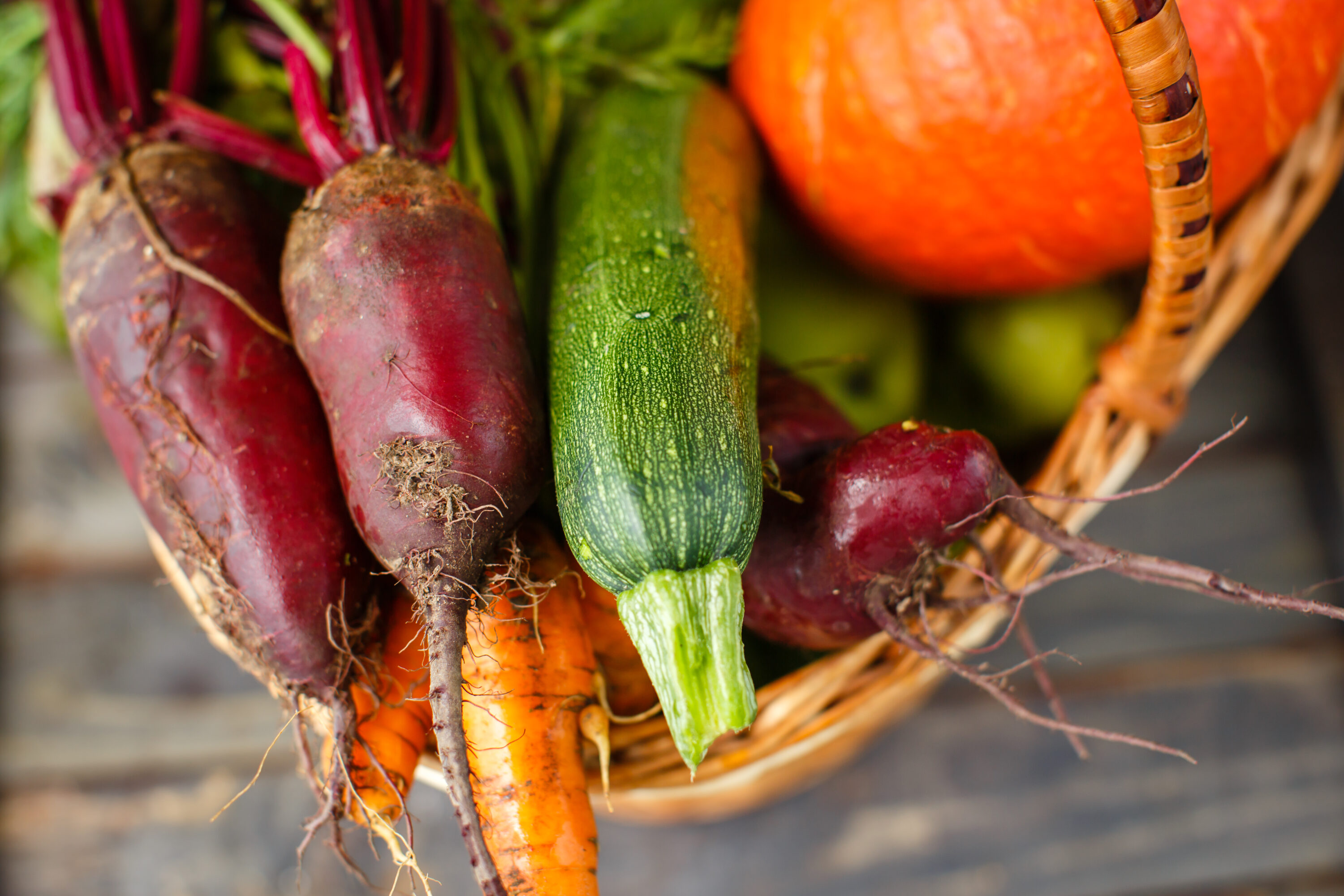 potager d’automne