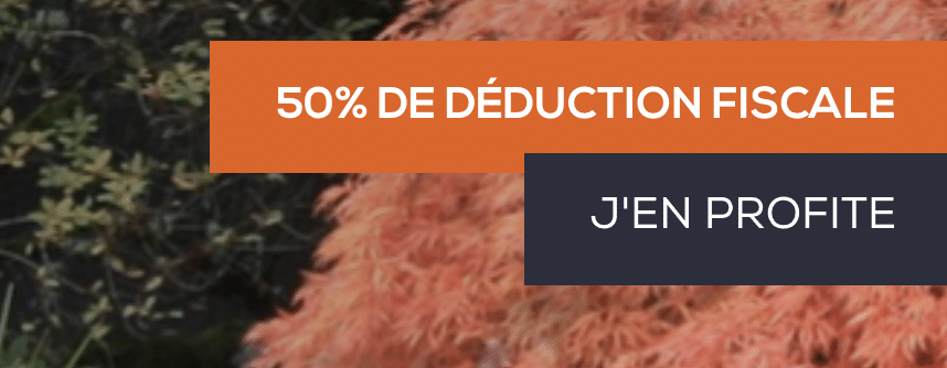 CP crédit impot