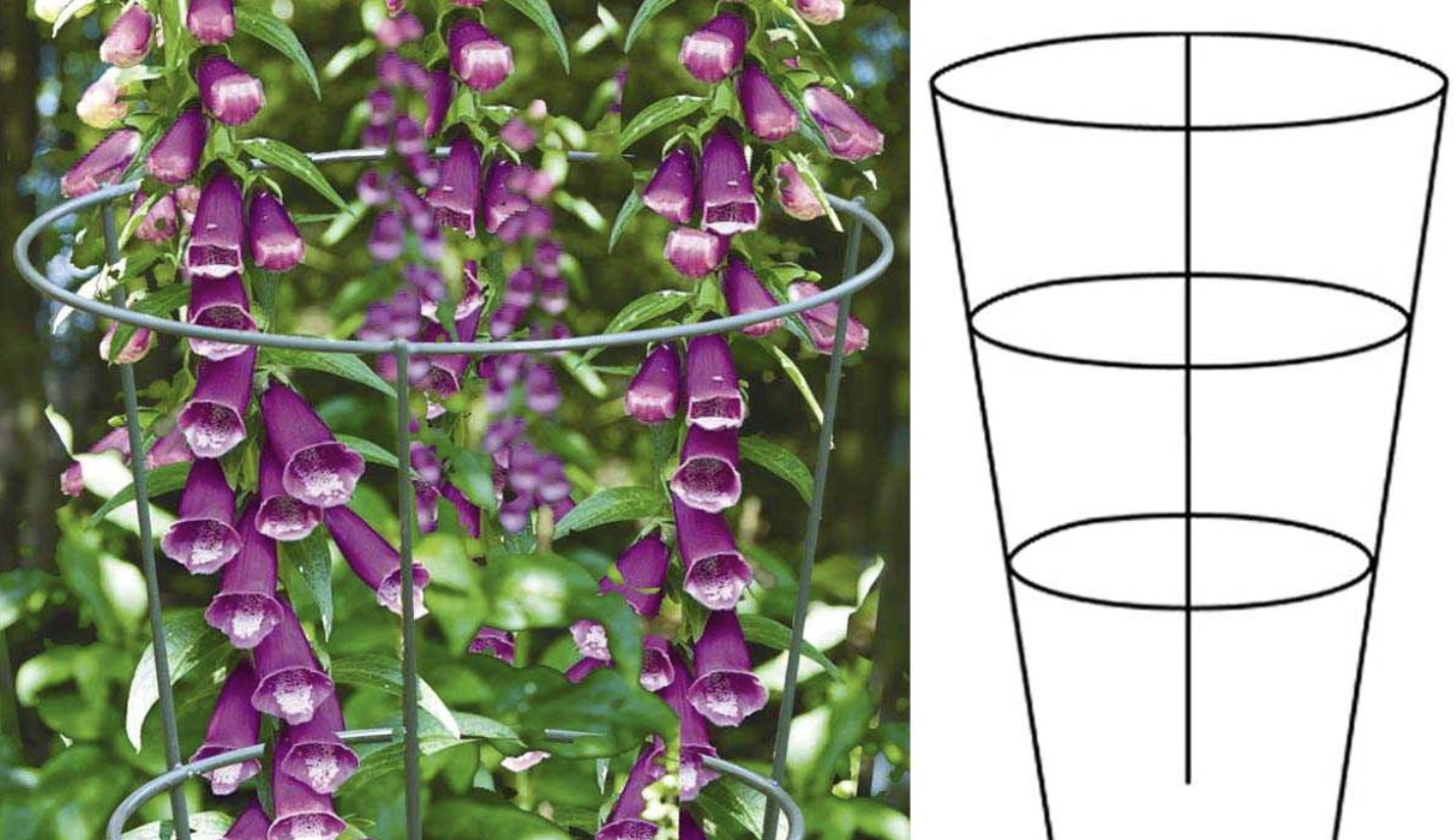 tuteur plantes