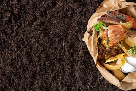 compost efficace