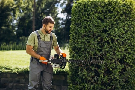 entretien de jardin et impôt