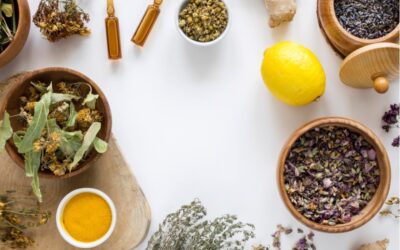 Plantes médicinales : les cultiver à la maison et les utiliser