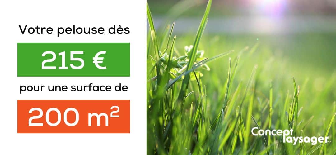 creation de jardin bordeaux