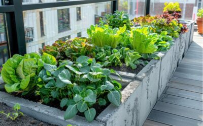 Créer un coin potager en ville : guide pour les petits espaces