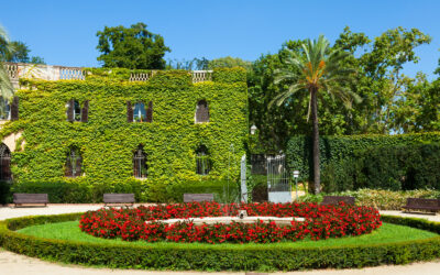 Créer un jardin sur mesure pour votre hôtel – Bordeaux, Bassin d’Arcachon