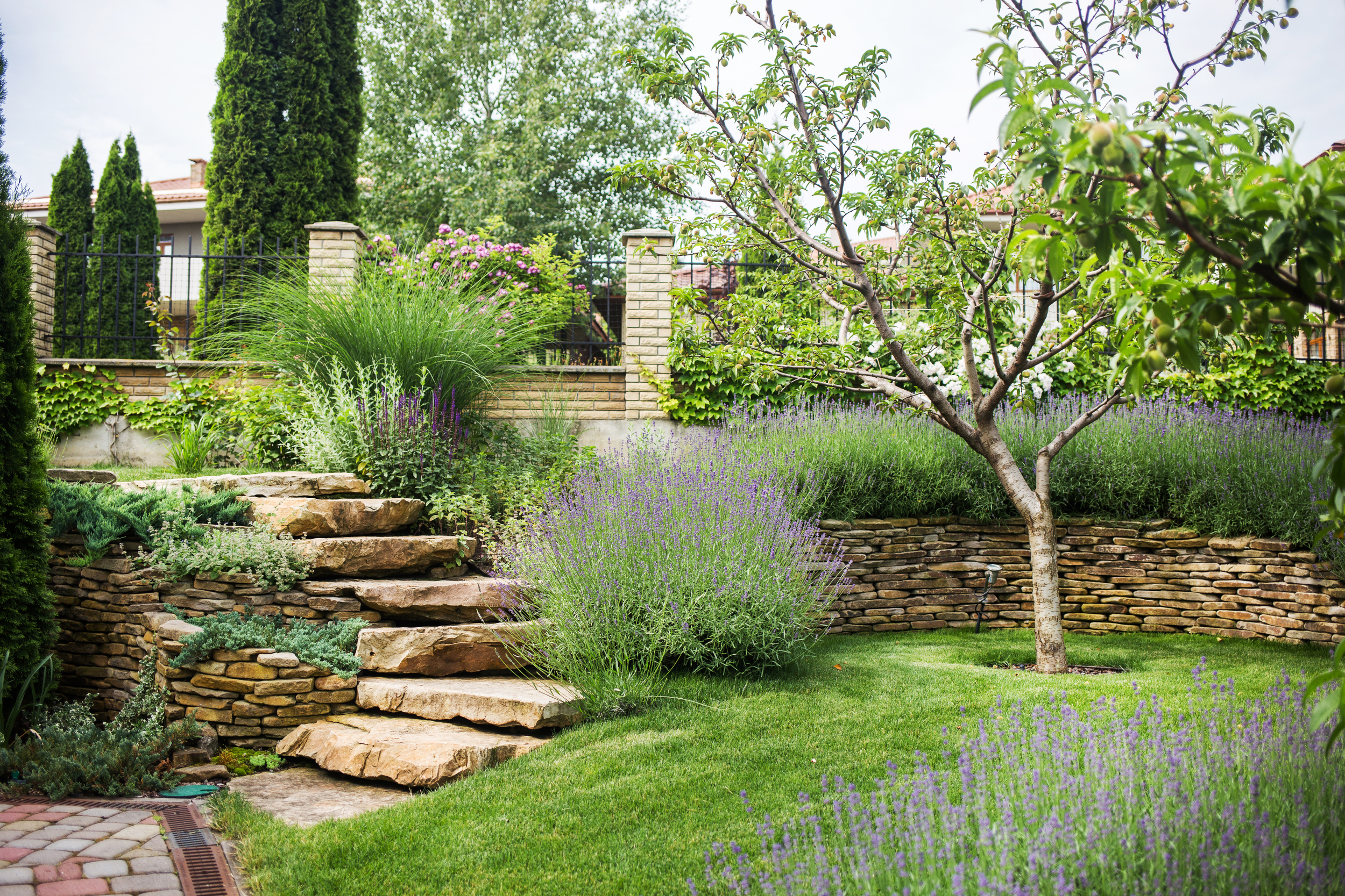 Jardin aménagé, espace bien-être facile à entretenir et jardiner sans effort